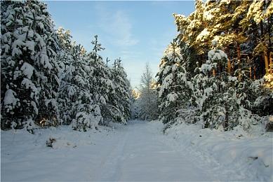 《肯泽拉传说：扎乌》开发商宣布暂停运营 寻找合作伙伴